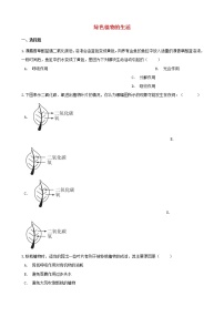 中考生物一轮复习绿色植物的生活练习题