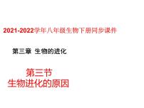 2020-2021学年第三节 生物进化的原因示范课课件ppt