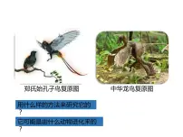 生物八年级下册第二节 生物进化的历程课文ppt课件