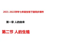 人教版 (新课标)七年级下册第二节 人的生殖背景图课件ppt