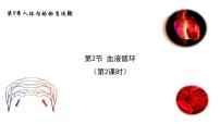 初中生物北师大版七年级下册第2节 血液循环完美版课件ppt