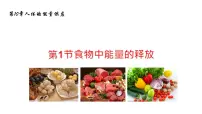 2020-2021学年第1节 食物中能量的释放获奖课件ppt