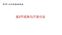 初中生物北师大版七年级下册第四单元 生物圈中的人第11章 人体代谢废物的排出第3节 皮肤与汗液分泌精品ppt课件