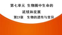 2021年中考广东专用生物一轮知识点复习第7单元 第23章　生物的遗传与变异  课件