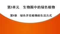 2021年中考广东专用生物知识点梳理复习第3单元 第5章　绿色开花植物的生活方式  课件