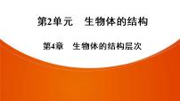 2021年中考广东专用生物知识点梳理复习第2单元 第4章　生物体的结构层次  课件