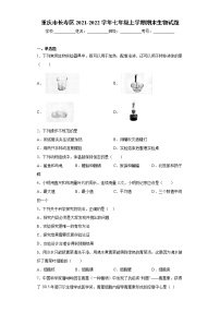 重庆市长寿区2021-2022学年七年级上学期期末生物试题（word版 含答案）