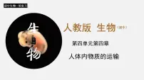 专题12 人体内物质的运输(课件)-2022年中考生物一轮复习讲练测