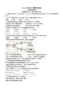 广东省廉江市2021-2022学年七年级上学期期末生物试题（word版 含答案）