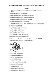 河北省石家庄市晋州市2021-2022学年八年级上学期期末生物试题（word版 含答案）