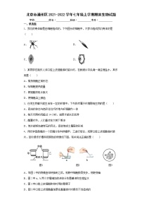 北京市通州区2021-2022学年七年级上学期期末生物试题（word版 含答案）