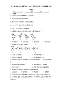 辽宁省盘锦市大洼区2021-2022学年七年级上学期期末生物试题（word版 含答案）