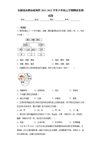 安徽省合肥市瑶海区2021-2022学年八年级上学期期末生物试题（word版 含答案）