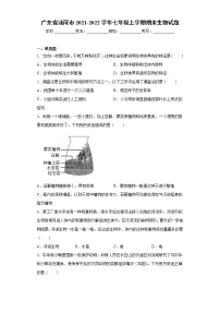 广东省汕尾市2021-2022学年七年级上学期期末生物试题（word版 含答案）