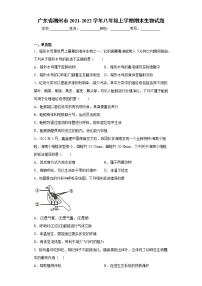 广东省潮州市2021-2022学年八年级上学期期末生物试题（word版 含答案）