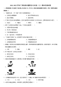 2021-2022学年广西桂林市灌阳县七年级（上）期末生物试卷   解析版