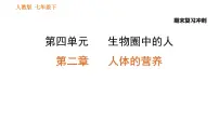 初中生物人教版 (新课标)七年级下册第二章 人体的营养综合与测试示范课ppt课件