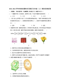 2021-2022学年河南省漯河市召陵区七年级（上）期末生物试卷   解析版