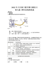 2022年人教版八年级下册生物专题复习-神经系统的组成