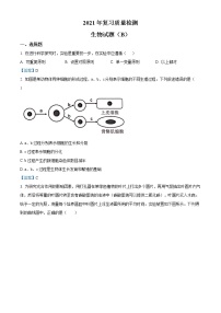 2021年山东省滨州市滨城区中考二模生物试题及答案