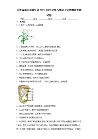 山东省滨州市博兴县2021-2022学年八年级上学期期末生物试题（word版 含答案）