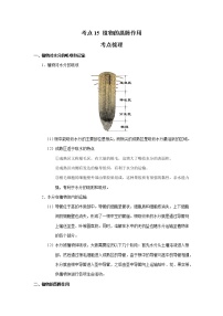 考点15 植物的蒸腾作用（解析版）-2022年生物中考一轮过关讲练（人教版）