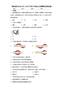 海南省东方市2021-2022学年八年级上学期期末生物试题（word版 含答案）