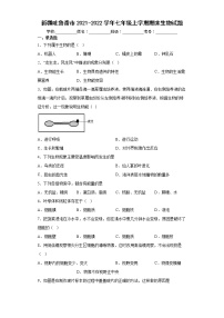 新疆吐鲁番市2021-2022学年七年级上学期期末生物试题（word版 含答案）