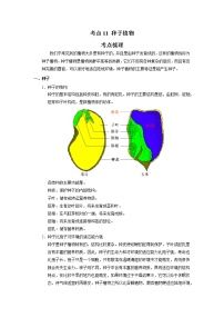 考点11 种子植物（解析版）-2022年生物中考一轮过关讲练（人教版）