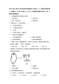 2021-2022学年山东省济南市高新区八年级（上）期末生物试卷   解析版