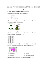 2021-2022学年河北省秦皇岛市青龙县八年级（上）期末生物试卷   解析版