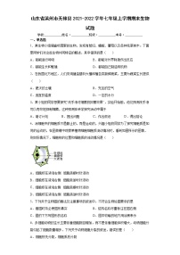 山东省滨州市无棣县2021-2022学年七年级上学期期末生物试题（word版 含答案）