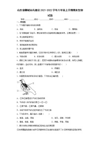 山东省聊城市高唐县2021-2022学年八年级上学期期末生物试题（word版 含答案）