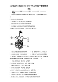 山东省菏泽市鄄城县2021-2022学年九年级上学期期末生物试题（word版 含答案）