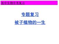 2022年生物中考二轮专题复习课件：被子植物的一生