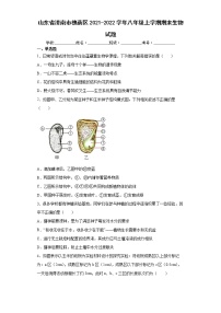 山东省济南市槐荫区2021-2022学年八年级上学期期末生物试题（word版 含答案）