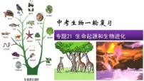 2022年中考一轮复习专题21生命的起源和生物的进化课件