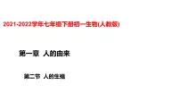 2020-2021学年第二节 人的生殖课前预习ppt课件