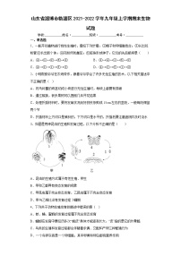 山东省淄博市临淄区2021-2022学年九年级上学期期末生物试题（word版含答案）