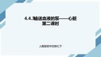 生物七年级下册第三节 输送血液的泵──心脏多媒体教学课件ppt