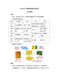 考点08 动植物体的结构层次（解析版）-2022年生物中考一轮过关讲练（人教版）