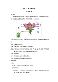 考点14 开花和结果（解析版）-2022年生物中考一轮过关讲练（人教版）