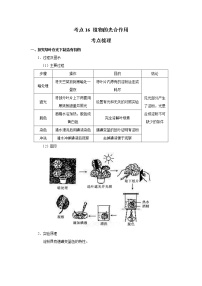 考点16 植物的光合作用（解析版）-2022年生物中考一轮过关讲练（人教版）