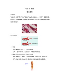 考点23 血管（解析版）-2022年生物中考一轮过关讲练（人教版）