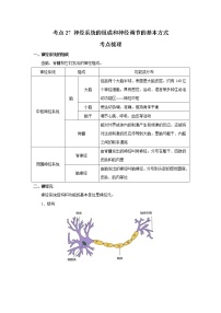 考点27 神经系统的组成和神经调节的基本方式（解析版）-2022年生物中考一轮过关讲练（人教版）