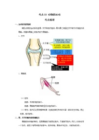 考点33 动物的运动（解析版）-2022年生物中考一轮过关讲练（人教版）