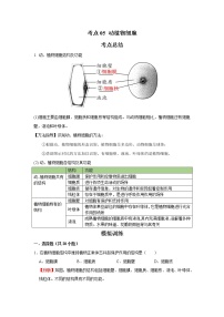 考点05 动植物细胞（解析版）-2022年生物中考一轮复习考点透析（人教版）