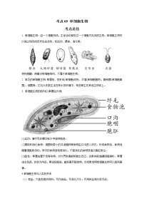 考点09 单细胞生物（解析版）-2022年生物中考一轮复习考点透析（人教版）