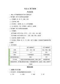 考点11 种子植物（解析版）-2022年生物中考一轮复习考点透析（人教版）