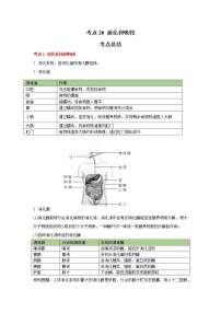 考点20 消化和吸收（解析版）-2022年生物中考一轮复习考点透析（人教版）